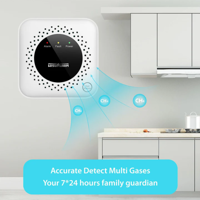 Dahua Wisualarm HY-GA40A maagaasi lekke andur • metaan CH4 12VDC 2 väljundit HY-GA40A