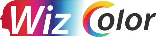 Dahua WizColor