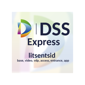 Dahua DSS Express